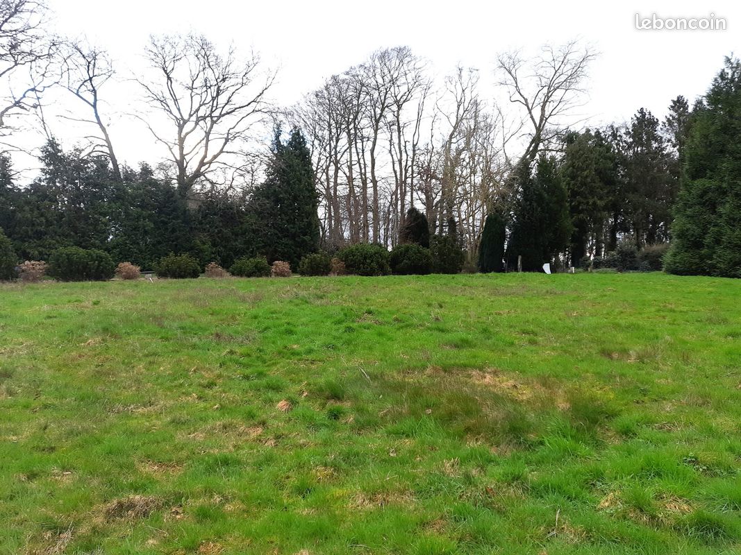 Terrain 1000 m² · à Bosville · 1 000 m² · 55 000 €