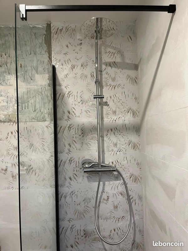 Colonne douche + paroi de douche (image 1)