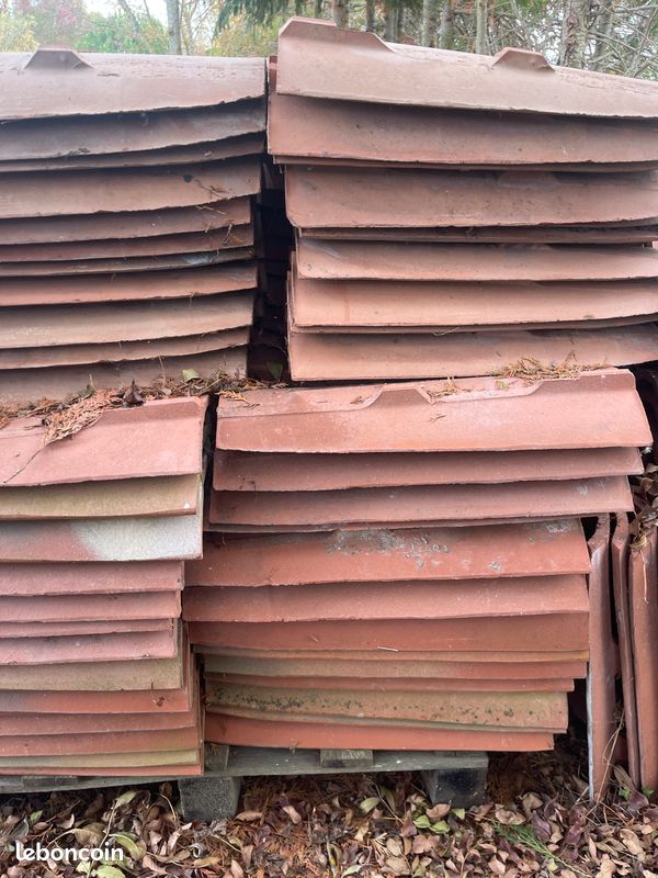 Tuiles Tenons Gelis (image 1)