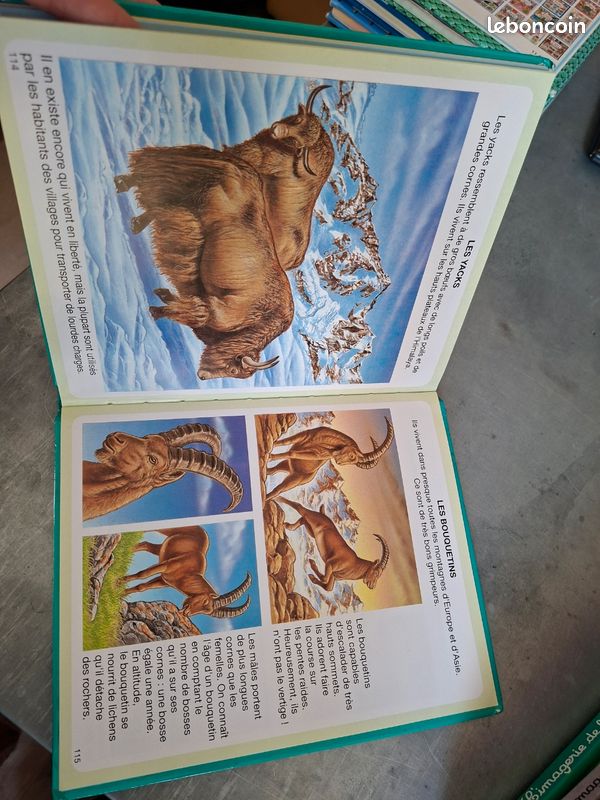 Livre l’imagerie de la montagne (image 4)
