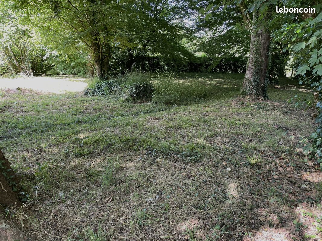 Terrain 1190 m² Sainte-Geneviève (image 6)