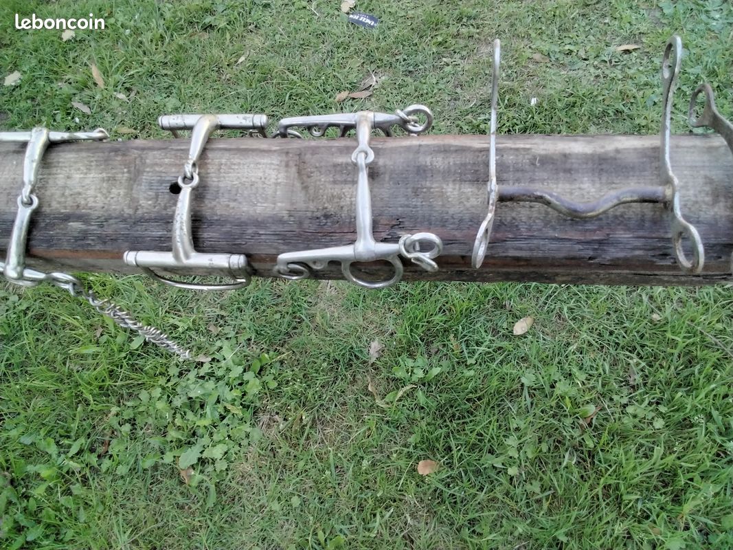 Mors divers (image 6)