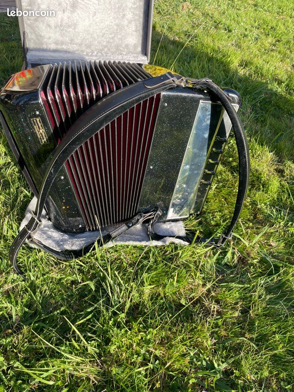 Accordéon Cavagnolo à boutons (image 12)
