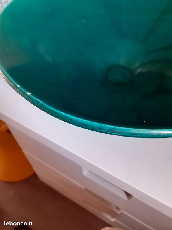 Grande coupe sur pied (image 4)