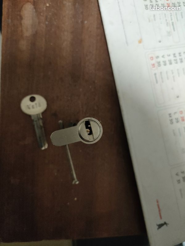 Cylindre haute sécurité avec une clef (image 2)