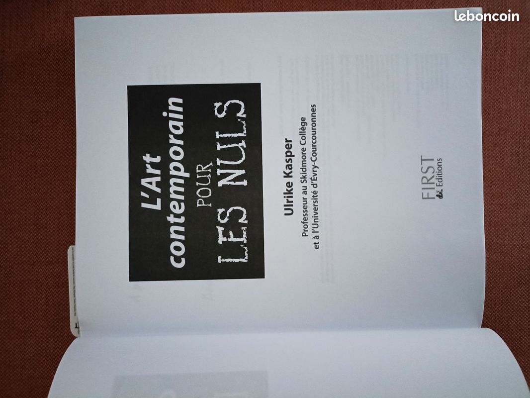 L'art contemporain pour les nuls (image 7)