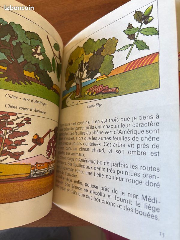 Un chêne m’a raconté (image 5)