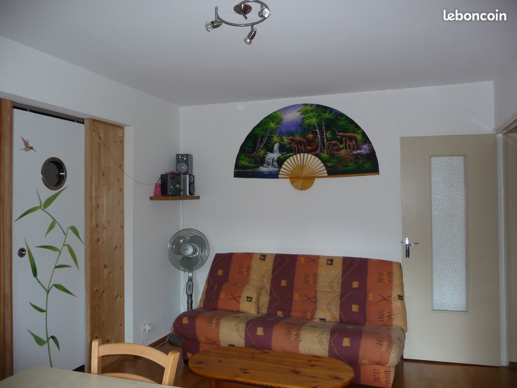 Location f3 aux pieds des pistes (image 6)