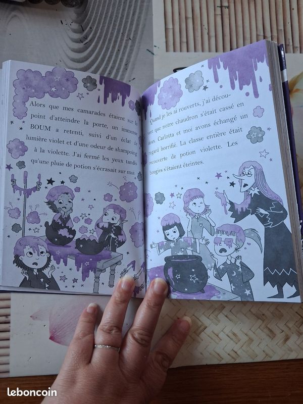 Lot Livre niveau CP mirabelle (image 3)