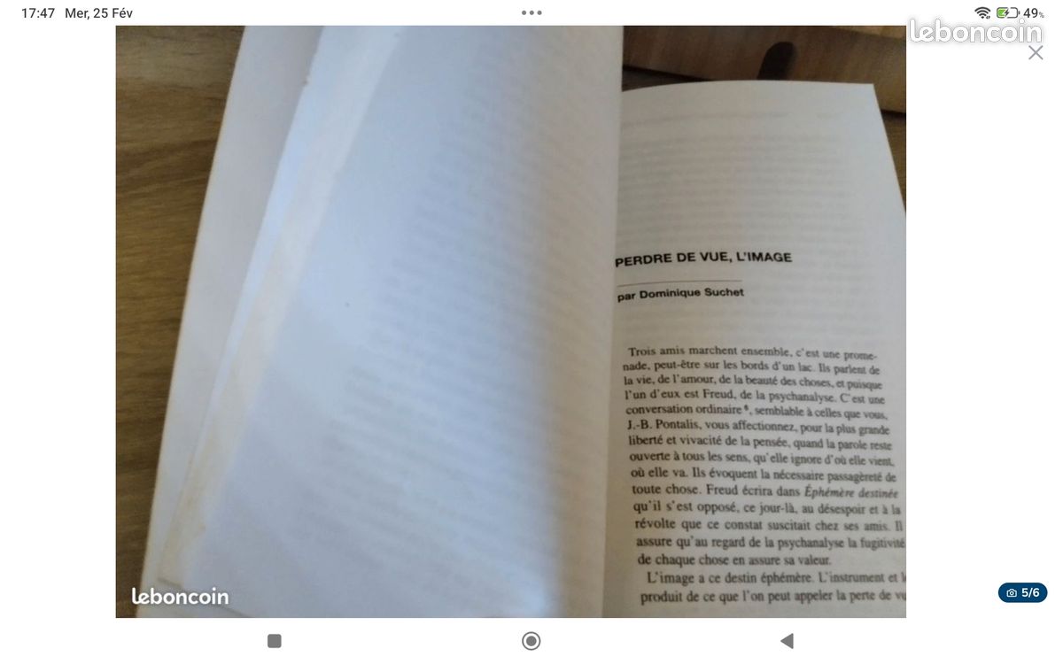 J.B Pontalis. L'oeuvre. Fenêtres sur l'inconscient (image 5)