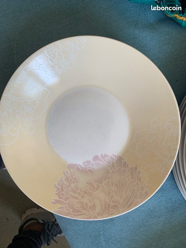 6 grand assiettes + 5 petite assiettes + 4 assiettes vendu ensemble URGENT (image 1)