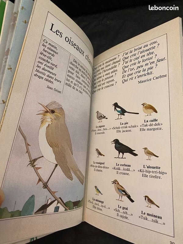 Livre du printemps (image 6)