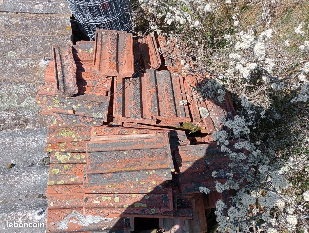 Tuile (image 1)