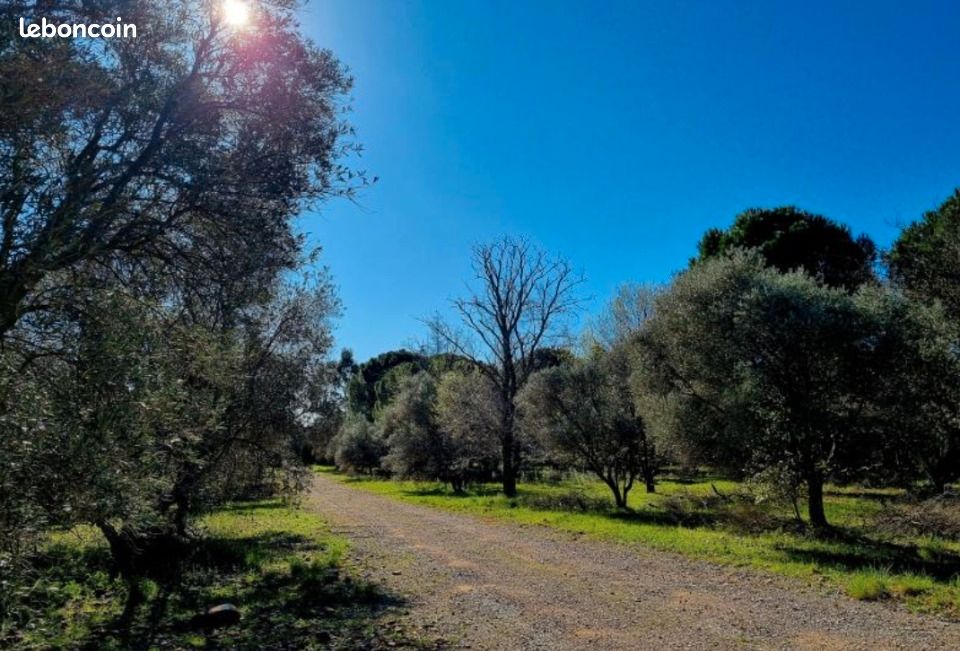 Terrain 249 m² Ceyras · 89 000 €