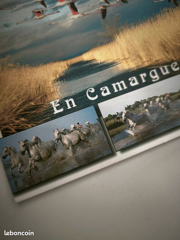 Carte postale Camargue Estel 99 (image 3)