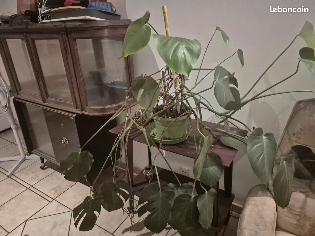 Maison 3 pièces 50 m² · à Coutras · 50 m² · 612 €/mois