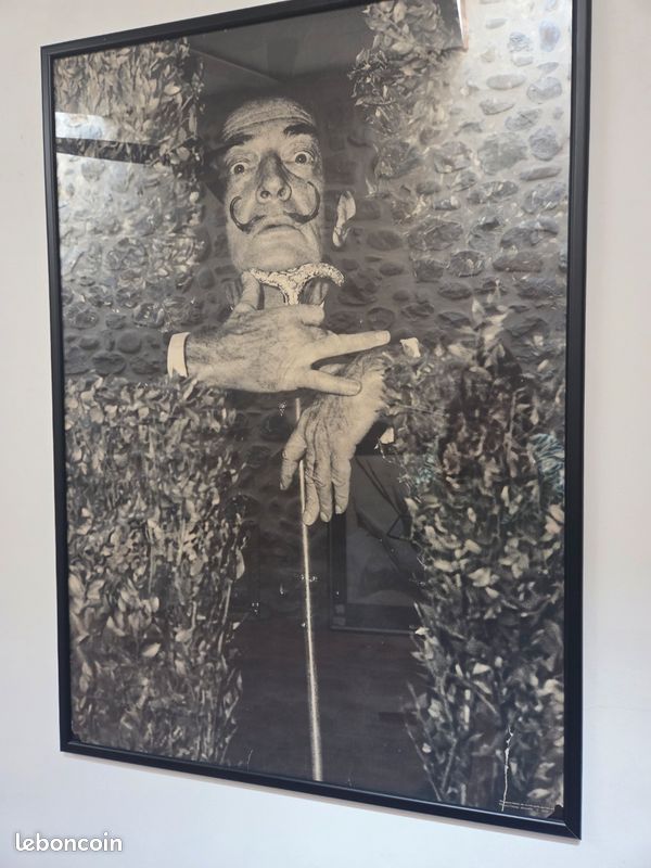 Affiche Salvador Dali (image 1)