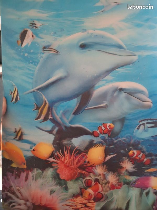 Image trompe l oeil dauphins (image 1)