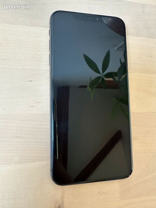 IPhone XS Max 256Go Gris Sidéral (image 2)