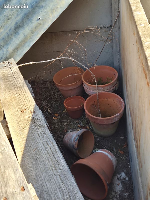 Pot de fleur en terre cuite (image 1)