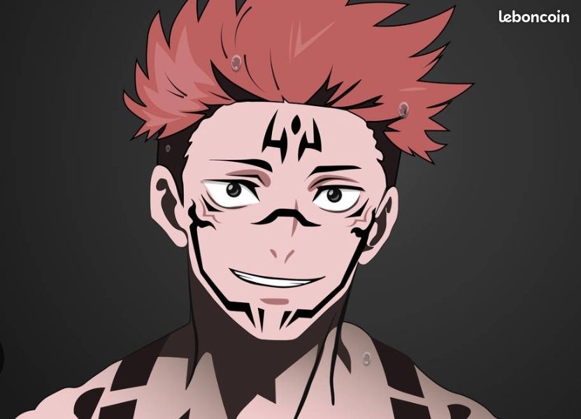 Je vous dessine en votre personnage d'anime préféré (image 1)
