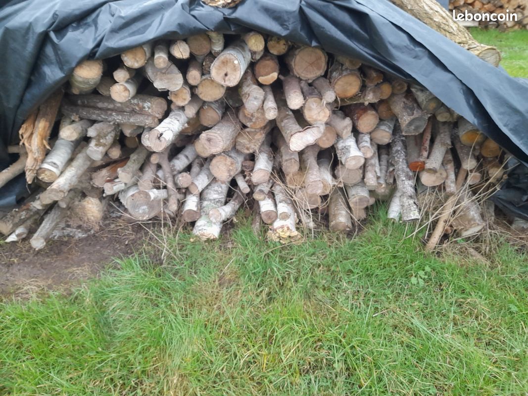 Vend bois de chauffage (image 2)