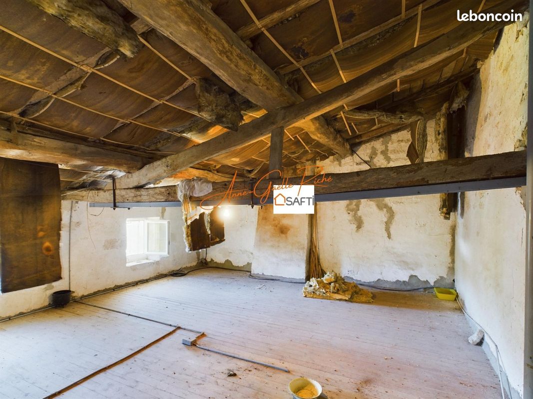 Maison 14 pièces 279 m² - Plassay 17250 (image principale 9)