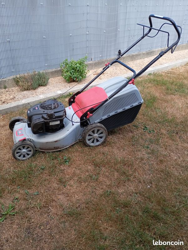 Tondeuse thermique 125cc Briggs & Stratton - Année 2016 (image 1)