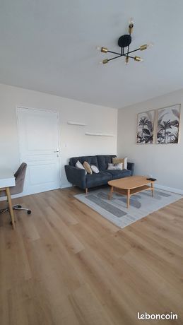 Grand F2 meublé à louer