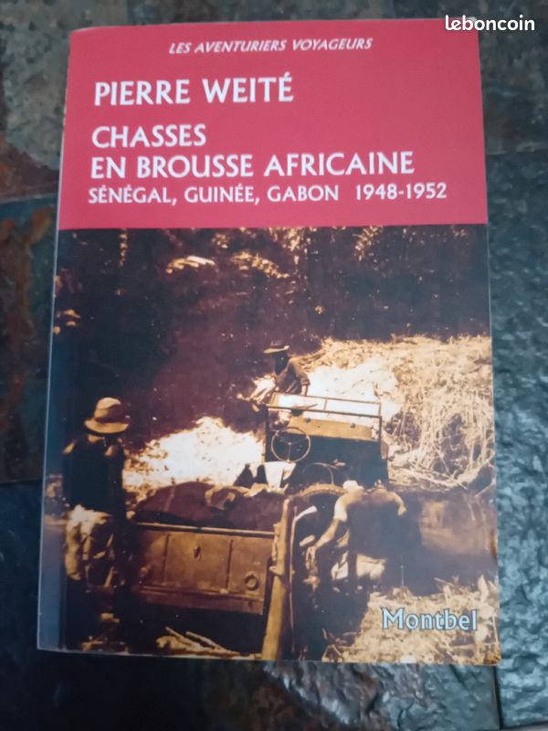 Chasse en brousse africaine (image 1)