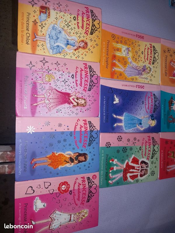 10 livres : princesse academy (image 4)