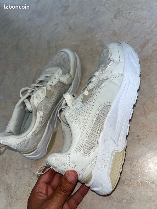 Puma (image 1)