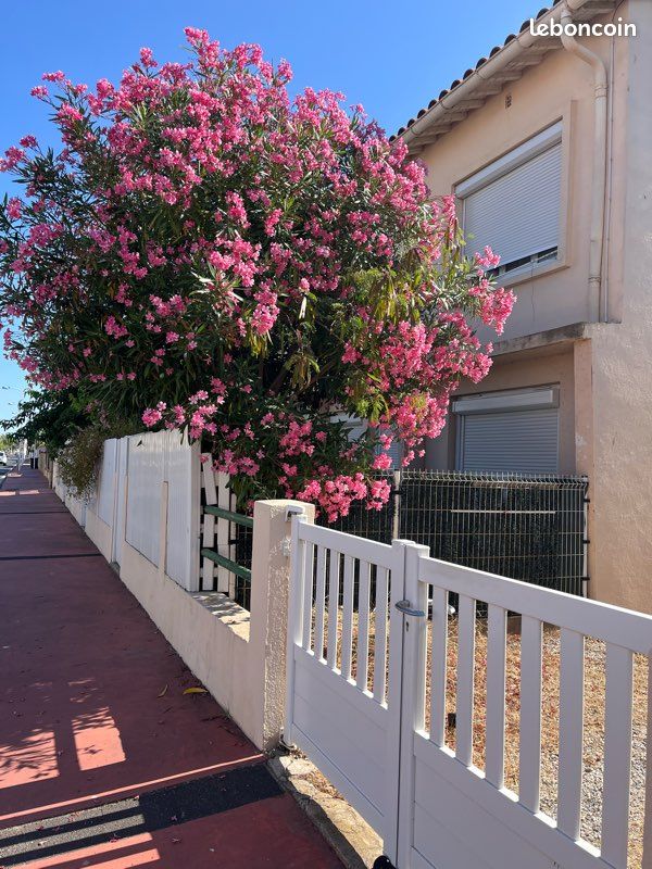 Appartement 3 pièces 44 m² · à Canet-en-Roussillon · 44 m² · 780 €/mois