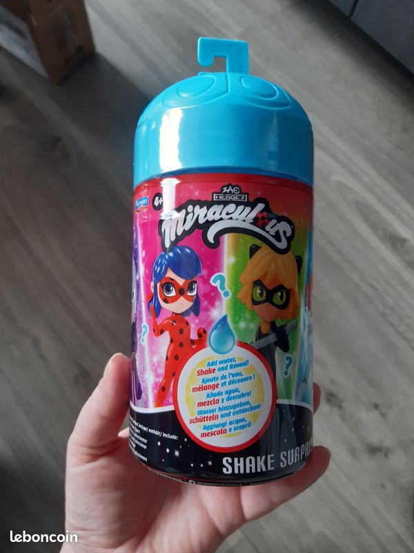 Cat Noir PoupÃ©e Lol Miraculous Poupee Adrien Miraculous Bandai