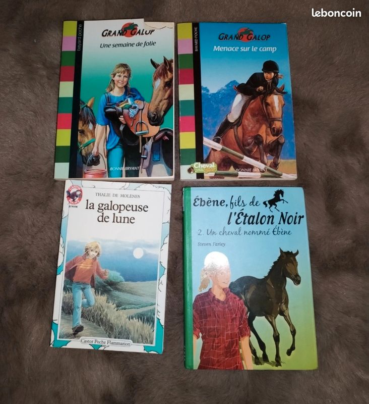 Lot de livres ados (image 1)