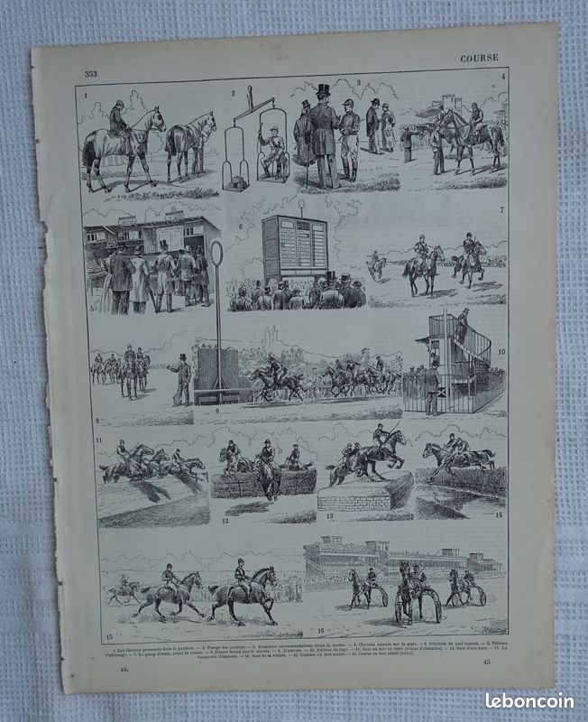 6 gravures anciennes N&B sur le CHEVAL - anatomie, races, équitation, etc. - Larousse 1899 et 1940 (image 7)