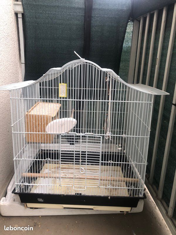 Cage d’oiseaux (image 2)
