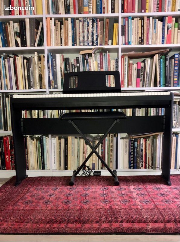 Piano Numerique Portable Roland FP-10 (image 1)