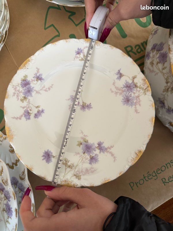Paire d'assiettes Minton Indian tree - Collection
