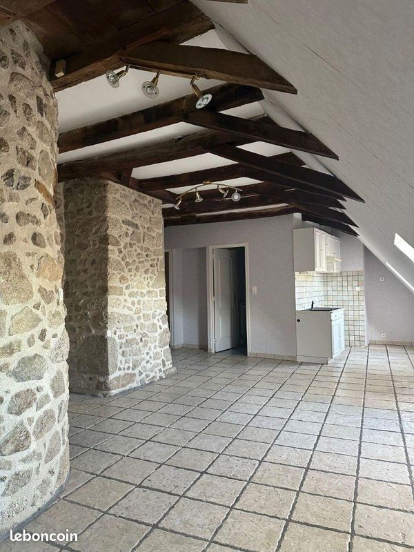Appartement 2 pièces 41 m² - Ussel 19200 (image principale 0)