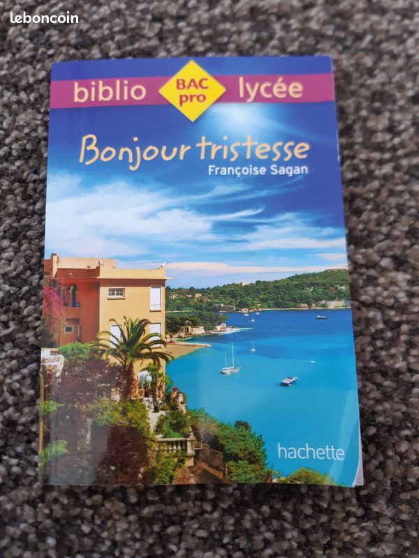 Bonjour tristesse, Francoise Sagan (image 1)