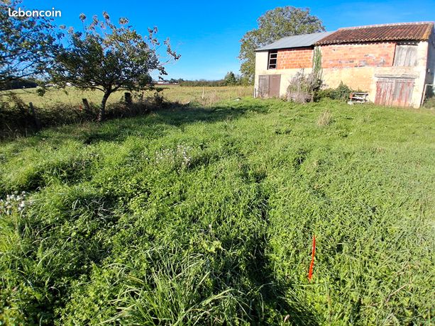 Terrain 1354 m² LA GRIPPERIE SAINT SYMPHORIE