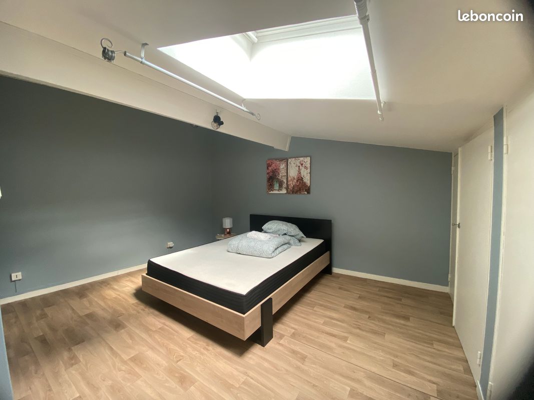 Grand studio centre ville - Limoges 87000 (image principale 5)