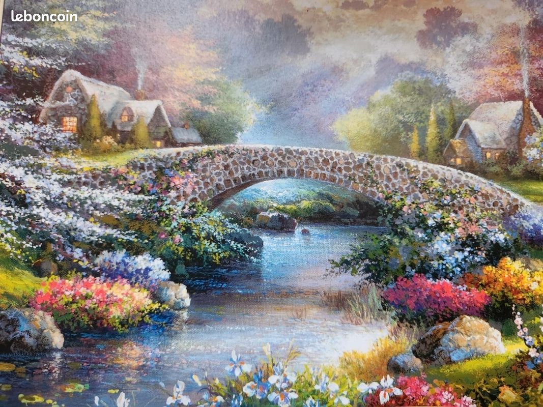 Puzzle Castorland 1000 pièces (image 4)