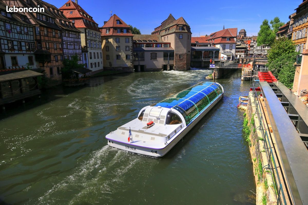 Appartement a louer strasbourg - 2 pièce(s) - 45 m2 - Surfyn