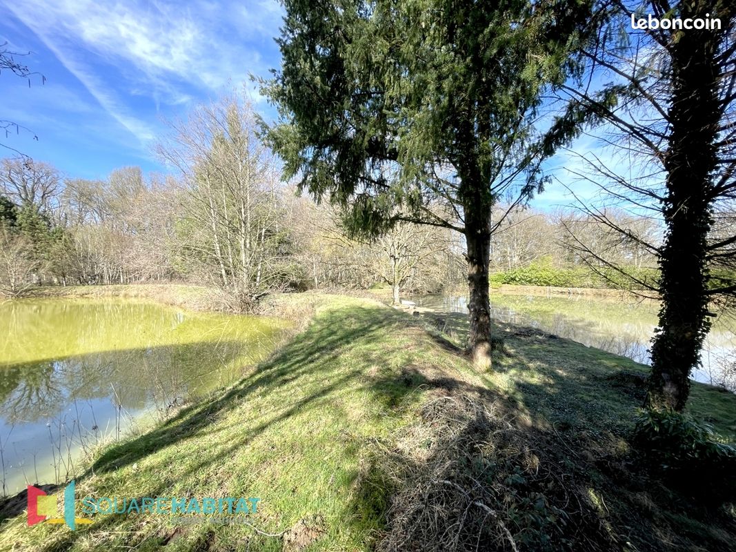 Terrain 33075 m² DOMATS (image 3)