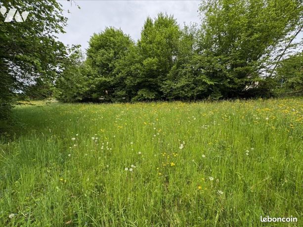 Terrain 732 m² ST OURS