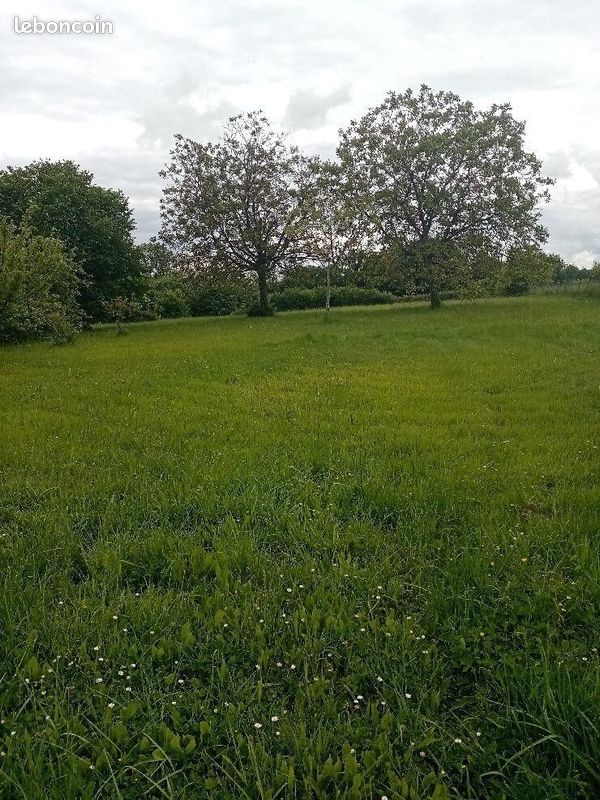 Terrain 2960 m² · à Pellevoisin · 2 960 m² · 18 000 €