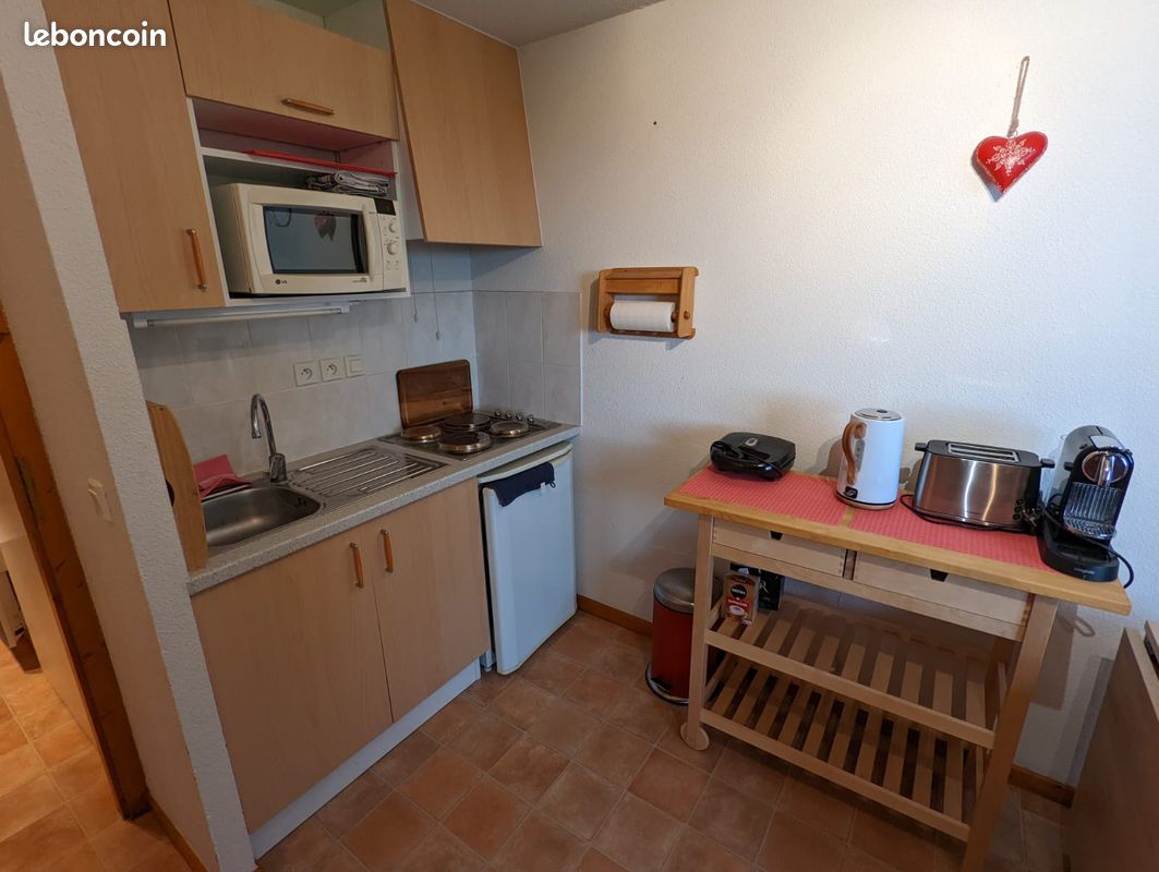 Location Studio 4 Pers Ski / Randonnée / Lac (image 8)