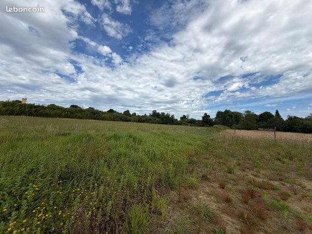 Terrain 14 100 m² Montaut